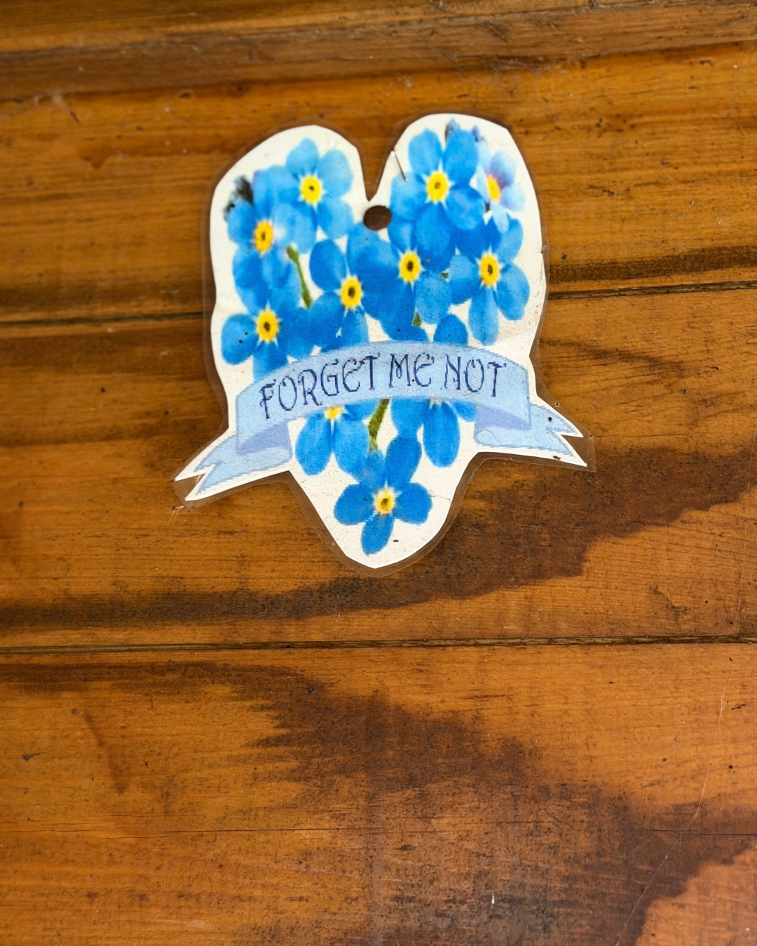 Forget me not sign