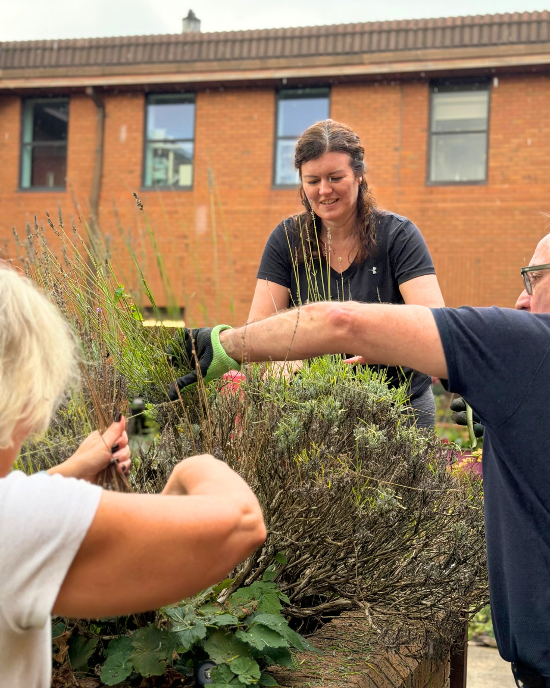 Volunteers gardening